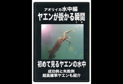 ヤエンが掛かる瞬間１.jpg