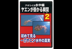 ヤエンが掛かる瞬間２.jpg